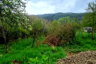 Парцел в Перник, с. Горна Диканя