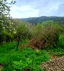 Парцел в Перник, с. Горна Диканя