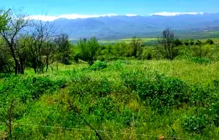 Парцел в София, с. Горна Василица