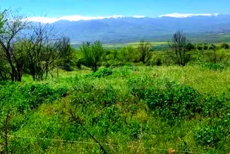 Парцел в София, с. Горна Василица
