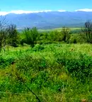 Парцел в София, с. Горна Василица