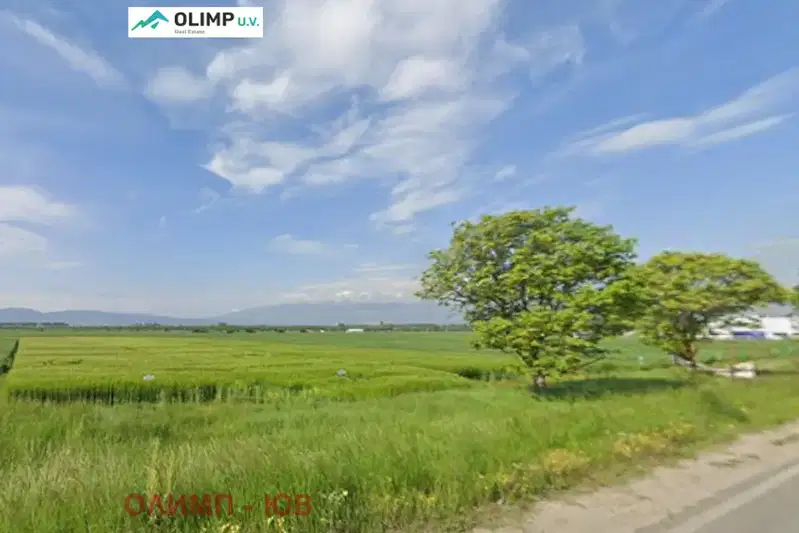 Plot in Gorni Bogrov