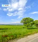 Парцел в с. Горни Богров