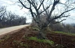Парцел в Пловдив, с. Горнослав