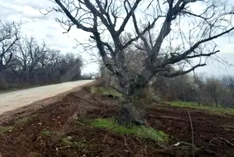 Парцел в Пловдив, с. Горнослав