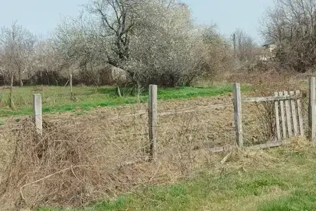 Plot in Oblast Varna, Gospodinovo