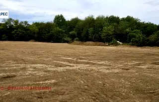 Парцел в Плевен, с. Гривица