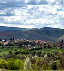Парцел в София, с. Гуцал