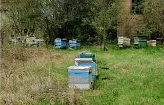 Парцел в София, с. Гурково