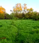 Парцел в Перник, с. Гълъбник