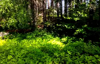 Парцел в Пловдив, с. Гълъбово