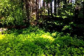 Парцел в Пловдив, с. Гълъбово
