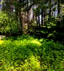Парцел в Пловдив, с. Гълъбово