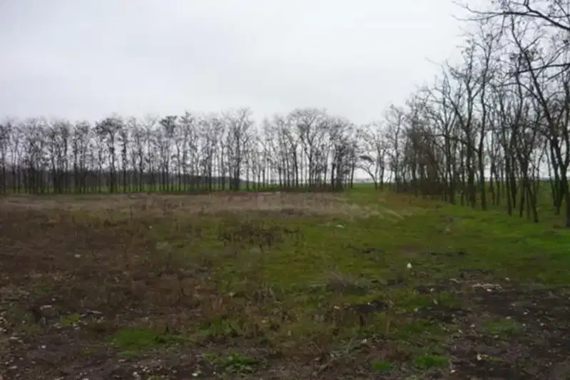 Plot in Dobrich, Hadji Dimityr