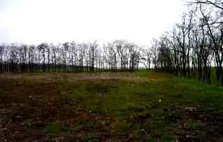 Парцел в Добрич, с. Хаджи Димитър