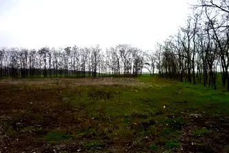 Парцел в Добрич, с. Хаджи Димитър