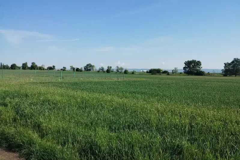 Парцел в София, с. Хераково