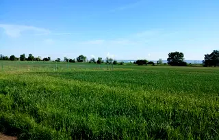 Парцел в София, с. Хераково