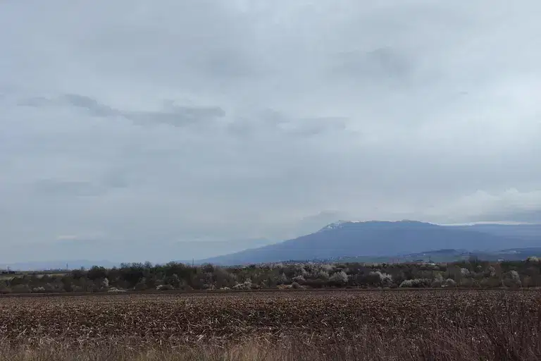 Plot in Ivanyane