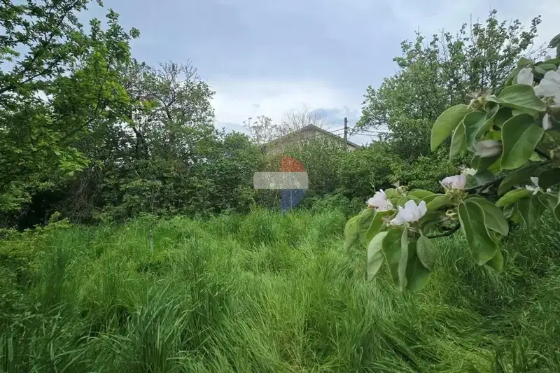 Plot in Oblast Varna, Izgrev