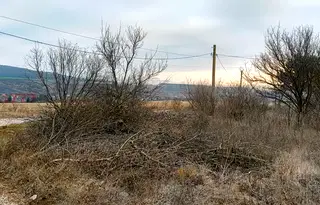 Парцел в с. Желява
