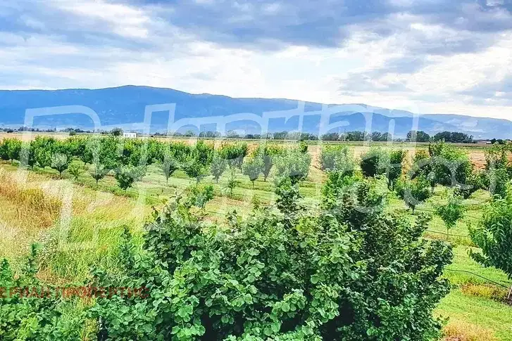 Plot in Oblast Plovdiv, Katunica