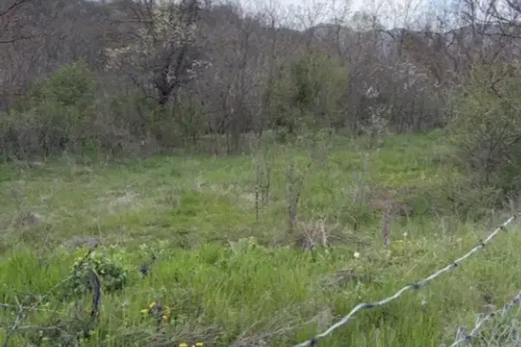 Plot in Oblast Stara Zagora, Kazanka