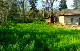 Парцел в Плевен, с. Коиловци