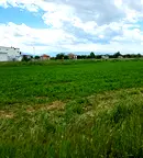 Парцел в Пловдив, с. Костиево