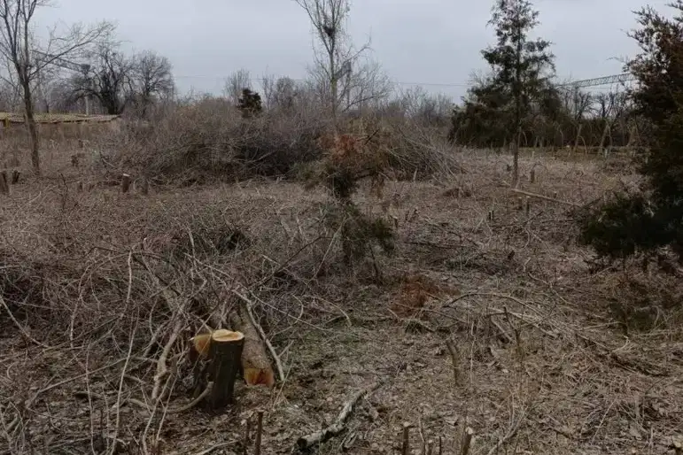 Парцел във Велико Търново, с. Козаревец