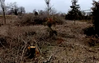 Парцел във Велико Търново, с. Козаревец