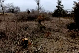 Парцел във Велико Търново, с. Козаревец