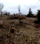 Парцел във Велико Търново, с. Козаревец