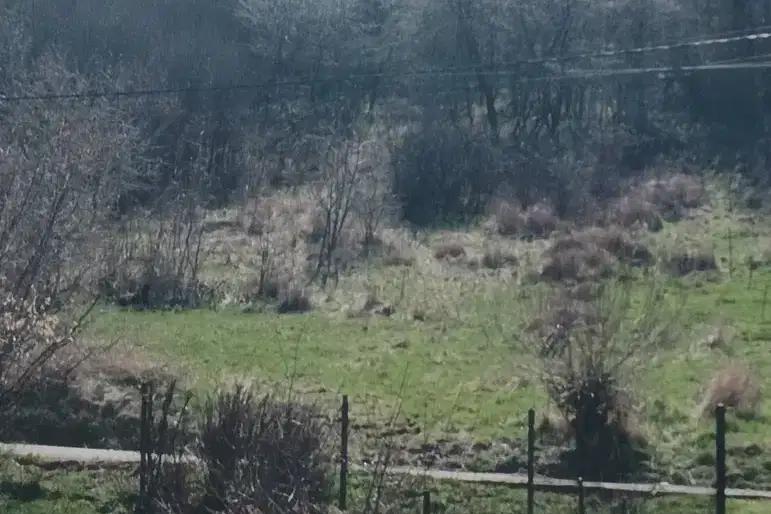 Plot in Oblast Pernik, Kralev Dol