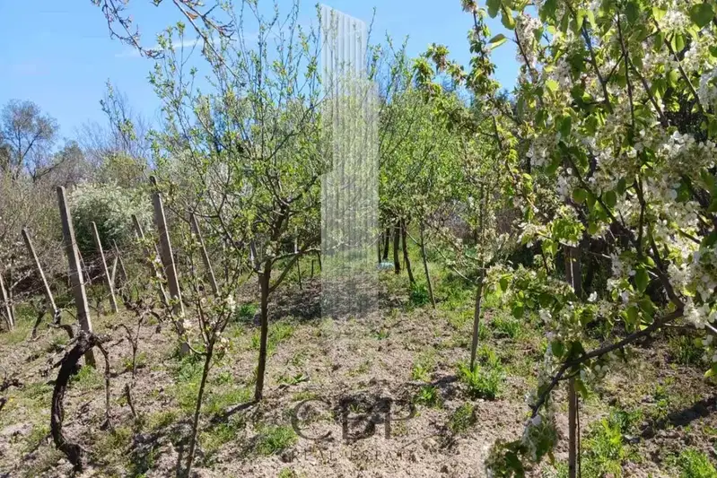 Plot in Oblast Dobrich, Kranevo