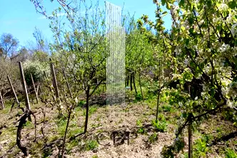 Парцел в Добрич, с. Кранево