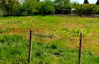 Парцел в Пловдив, с. Куртово Конаре