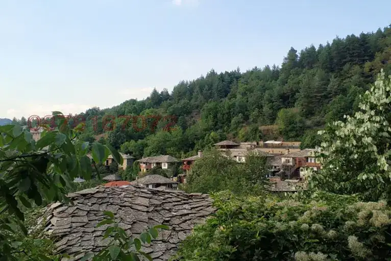 Парцел в Благоевград, с. Лещен