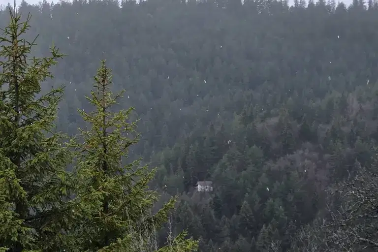 Plot in Oblast Smolyan, Levochevo