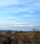Парцел в с. Локорско