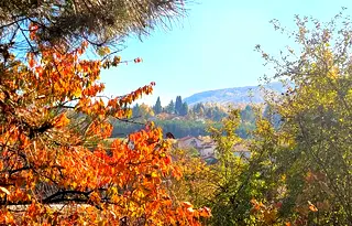 Парцел в с. Мало Бучино