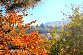 Парцел в с. Мало Бучино