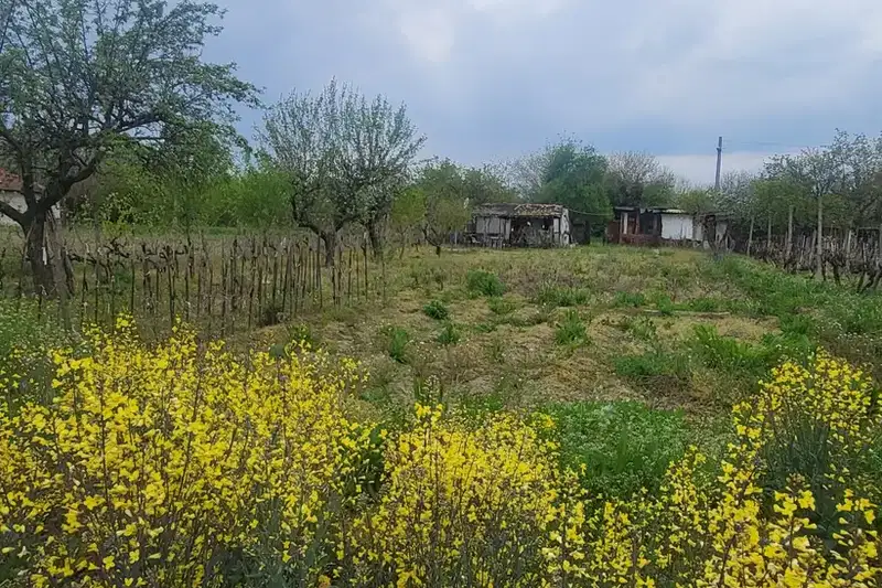 Plot in Oblast Pazardjik, Malo Konare