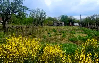 Парцел в Пазарджик, с. Мало Конаре