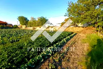 Парцел в Пловдив, с. Маноле