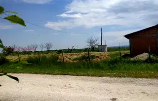 Парцел в Пловдив, с. Манолско Конаре