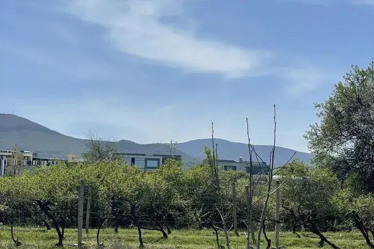 Plot in Oblast Plovdiv, Markovo