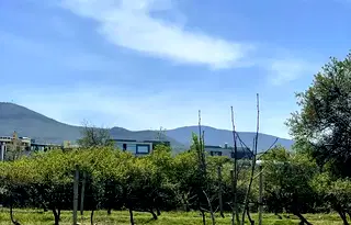 Парцел в Пловдив, с. Марково