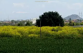 Парцел в Пловдив, с. Марково