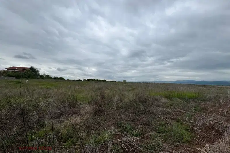 Plot in Mirovyane